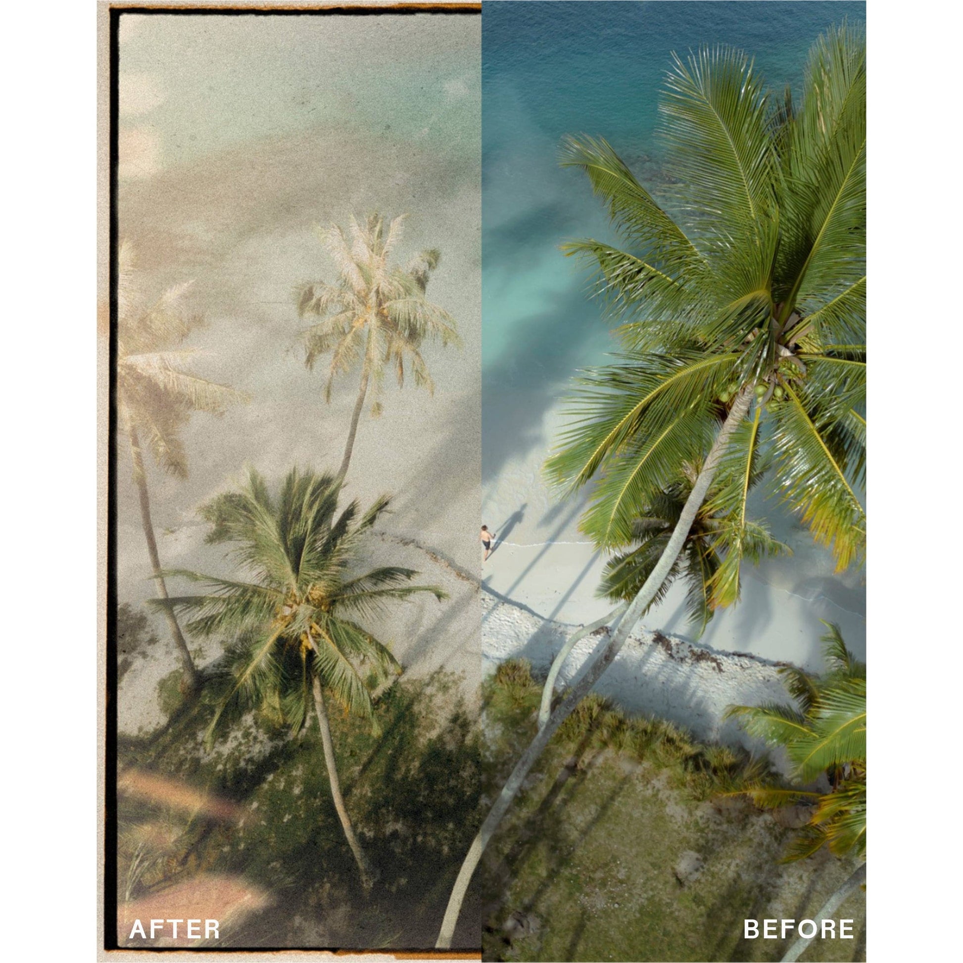 Complete Vintage Desktop Collection - envijon