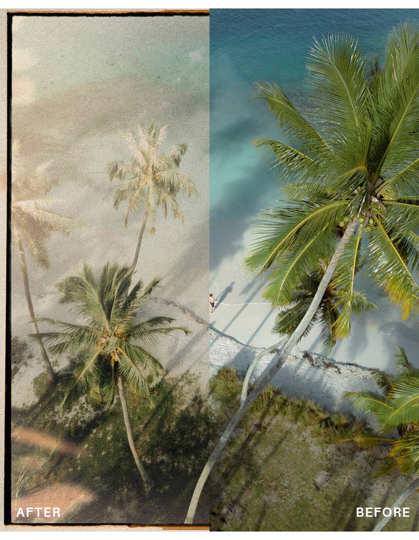 Complete envijon Collection - envijon