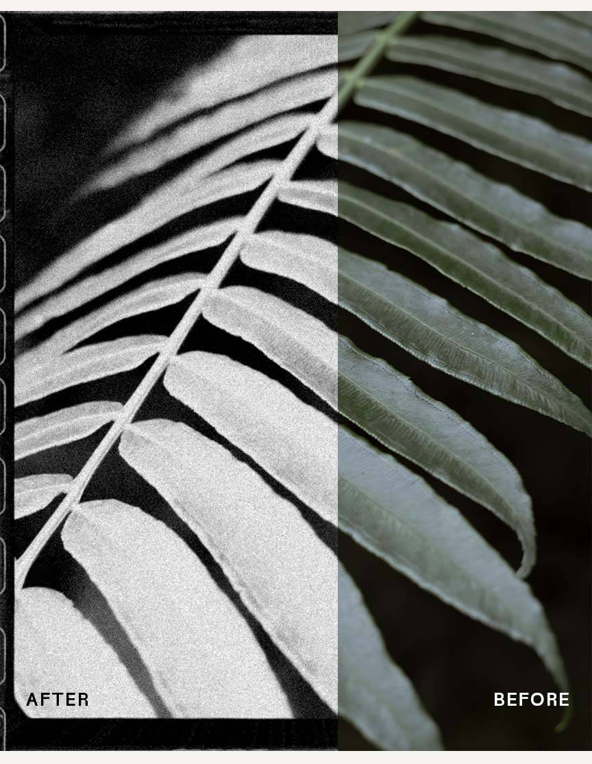 Black & White Photo Pack - envijon