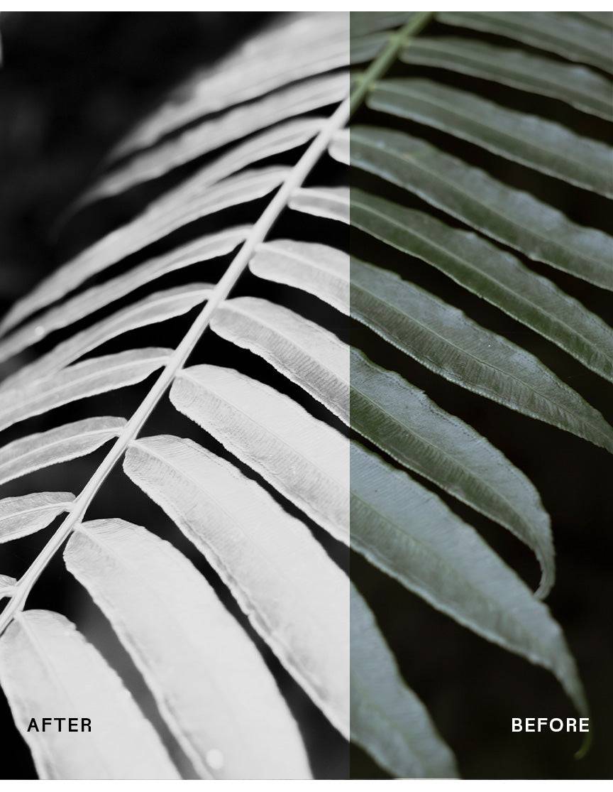 Black & White Mobile Photo Filters - envijon