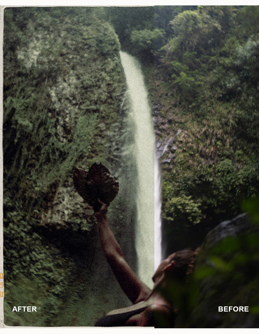 Nostalgia Photo Collection