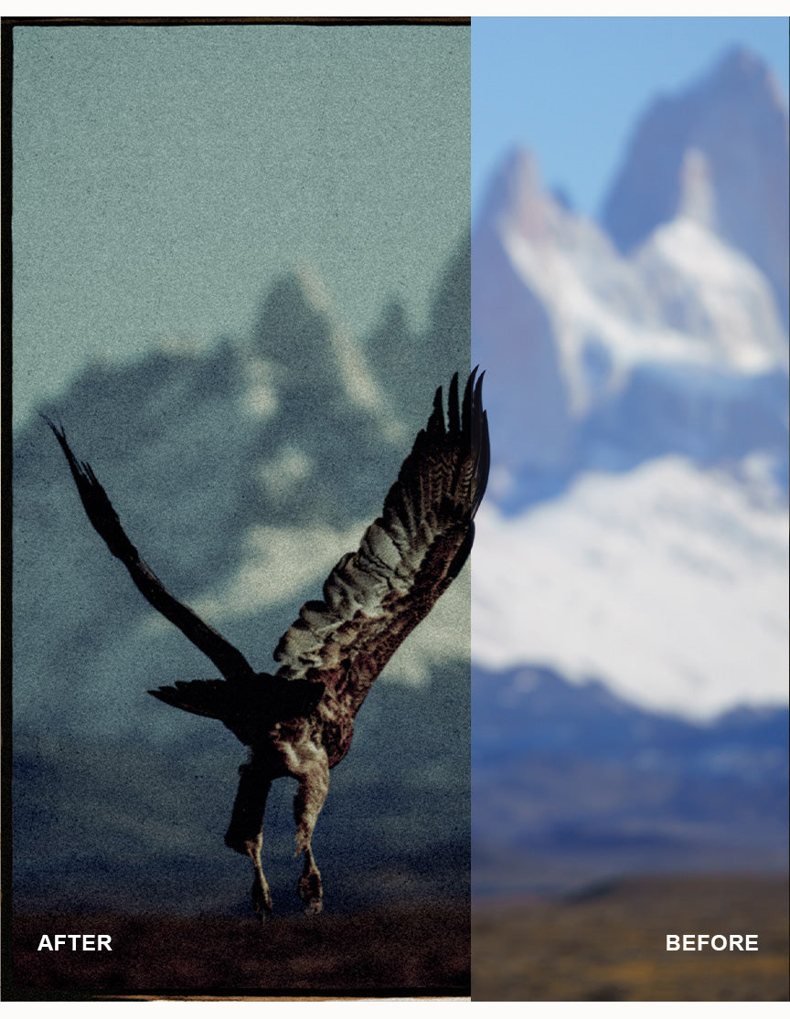 Nostalgia Photo Collection