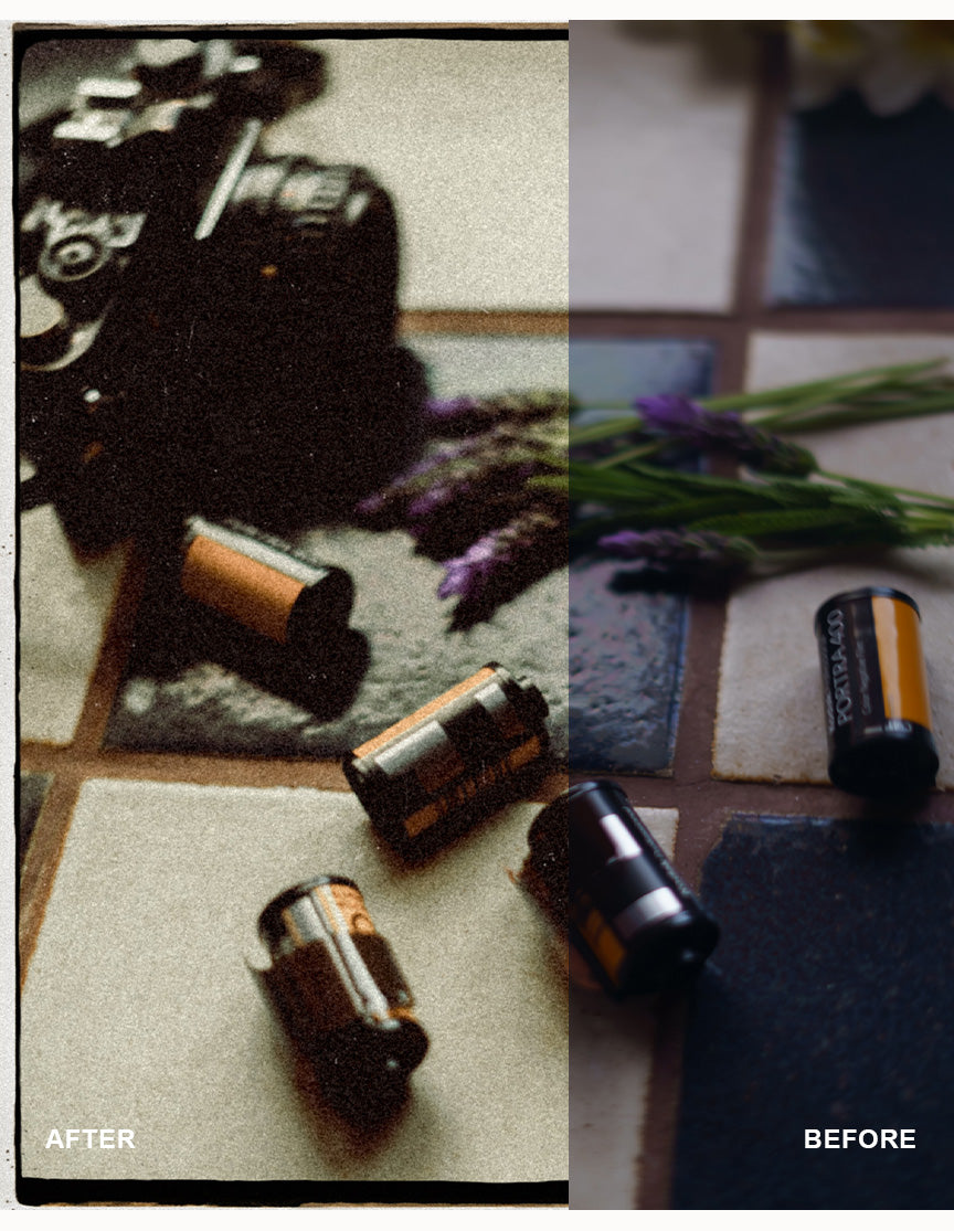 Nostalgia Photo Collection