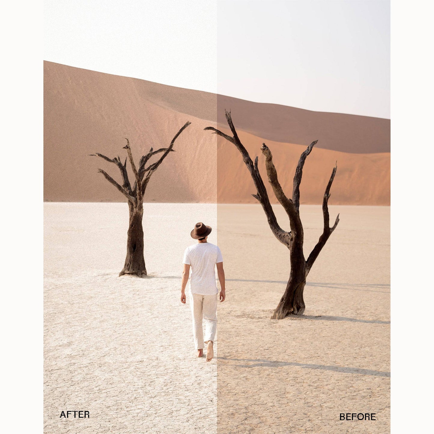 Complete Modern Classic Collection - envijon