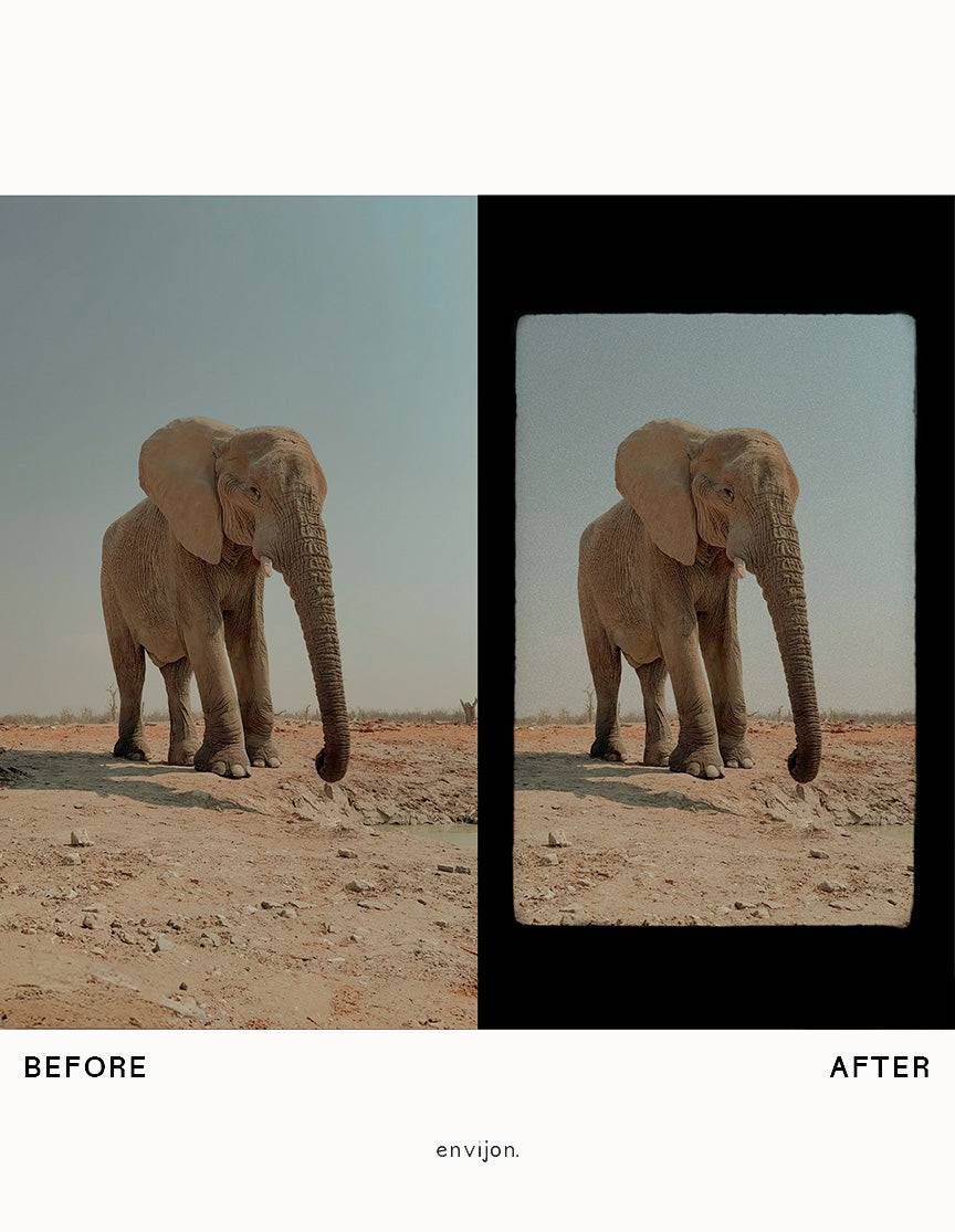 Vintage Video Elements - envijon