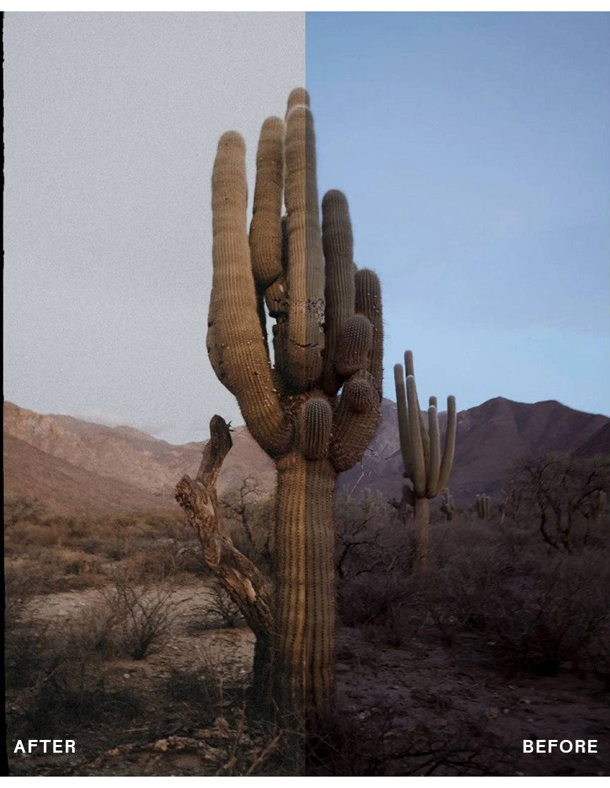 Vintage Photo Pack - envijon