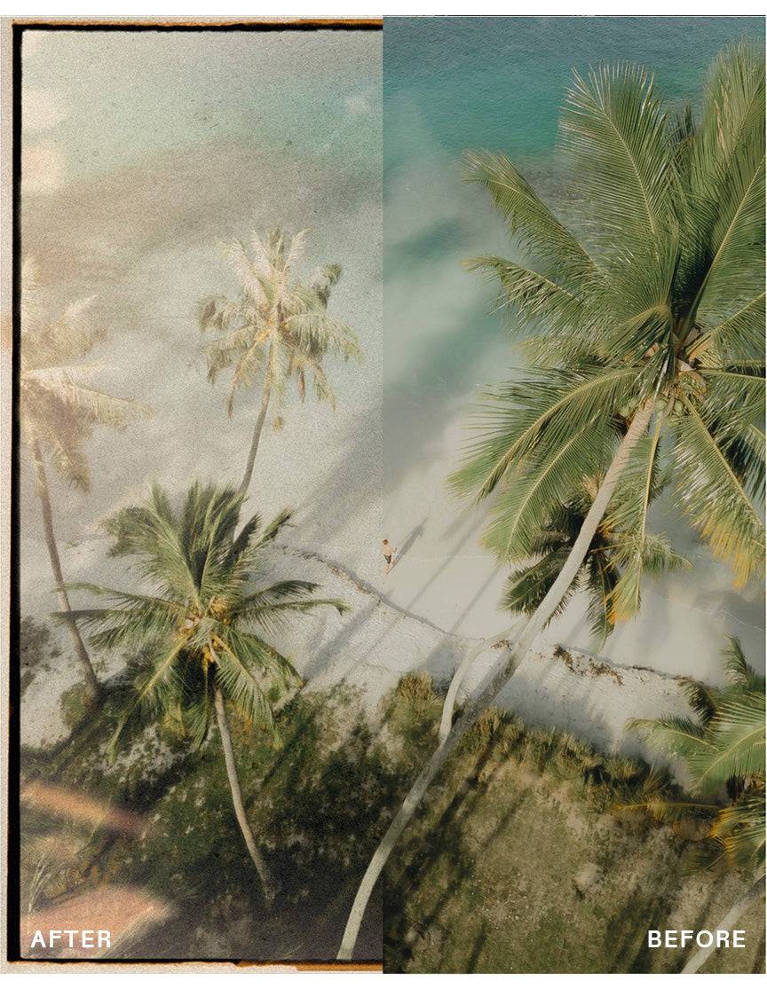 Real Film Photo Pack - envijon