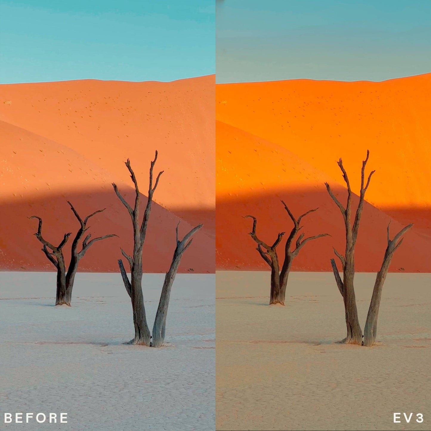 Vintage Mobile LUTs - envijon