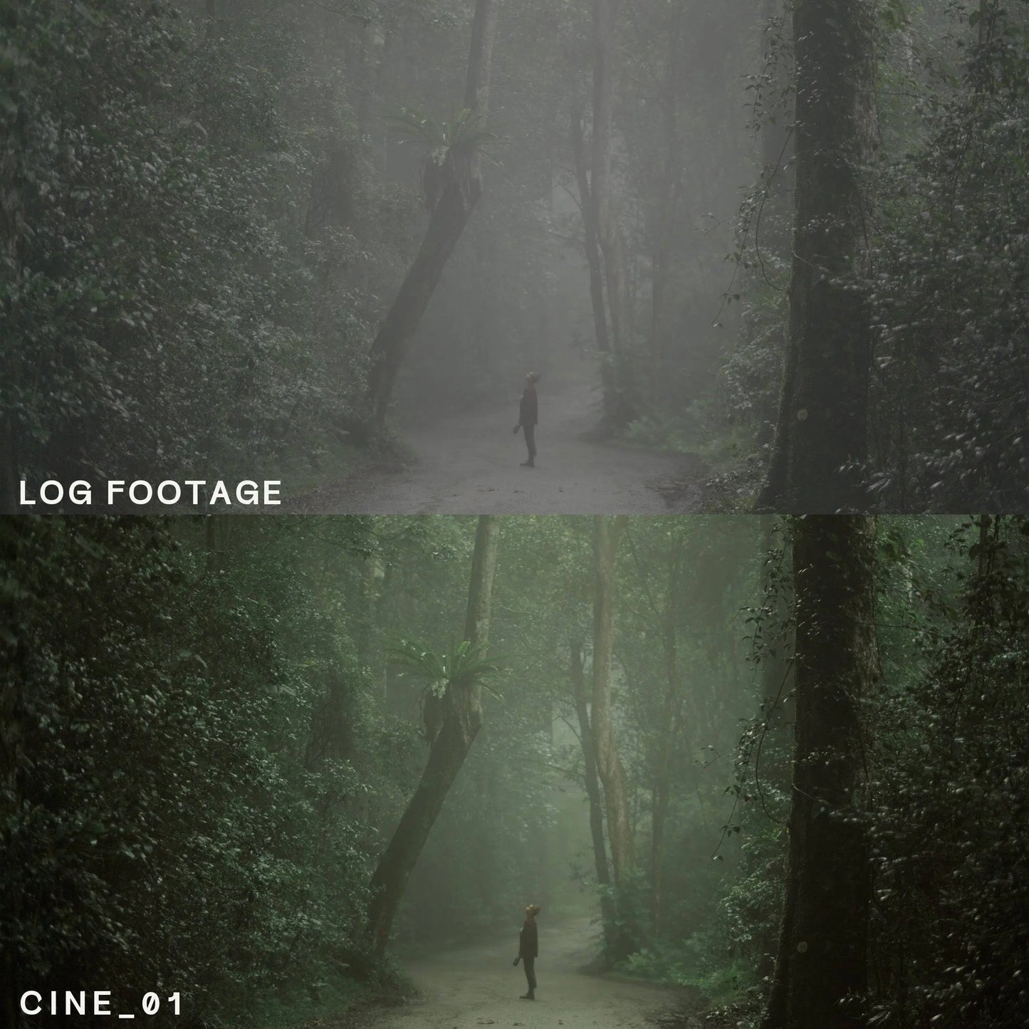 Cinematic Video LUTs